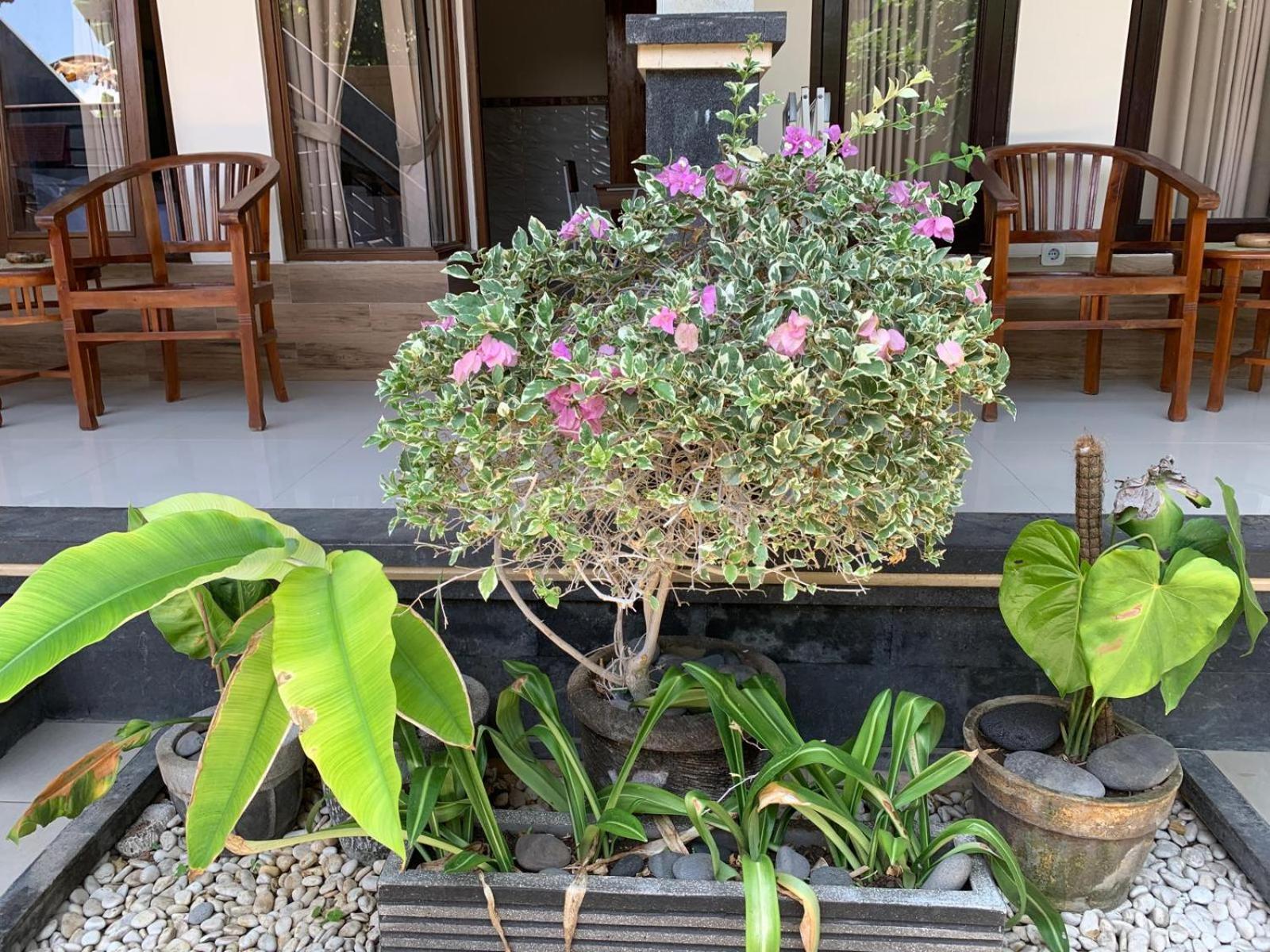 Jepun Inn Padang Bai Exterior foto