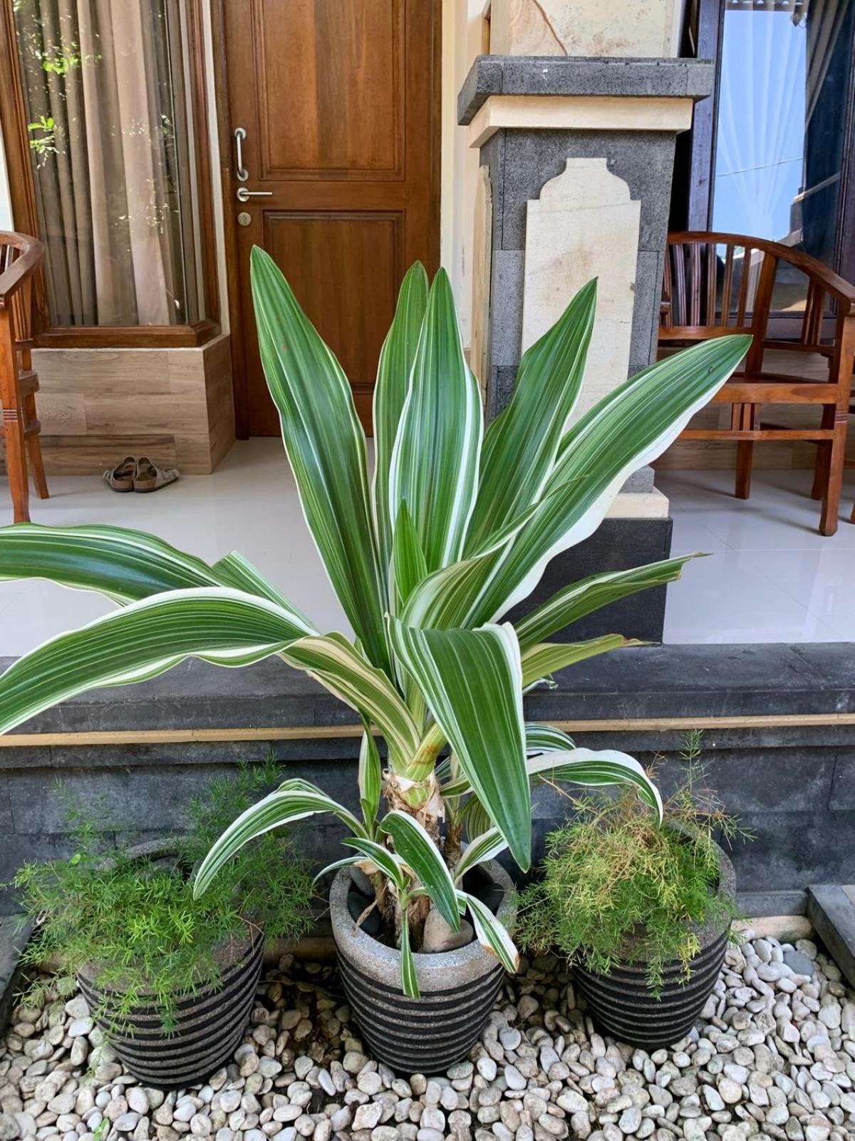 Jepun Inn Padang Bai Exterior foto